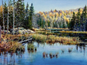 Algonquin Marsh by Barbara McGuey