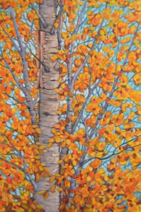 Birch Patterns by Beverly Sneath