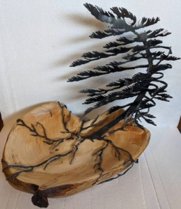 Maple Burl Windswept Pine by Cathy Mark