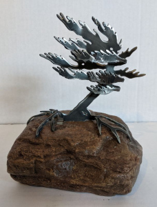 Windswept Pine III (Small) by Cathy Mark