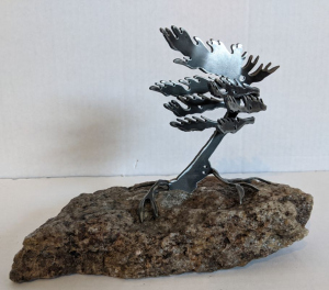 Windswept Pine IV (Small) by Cathy Mark