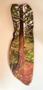 Spotlit Pine by Lauren Boissonneault