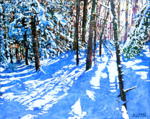 Blue Sky Day Trail Thru Sunlight by Micheal Zarowsky