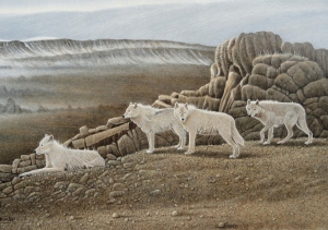 White Wolves Of Elsmere Island by Neil Blackwell
