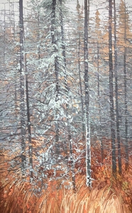 Algonquin Park by Peter Rotter