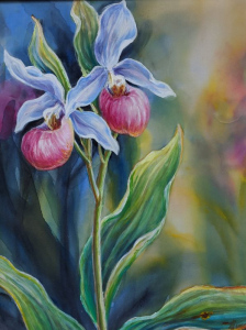 Showy Lady Slippers by Wee Lee